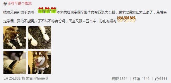 城里人真會玩，用鱷魚、穿山甲來評測Apple Watch 