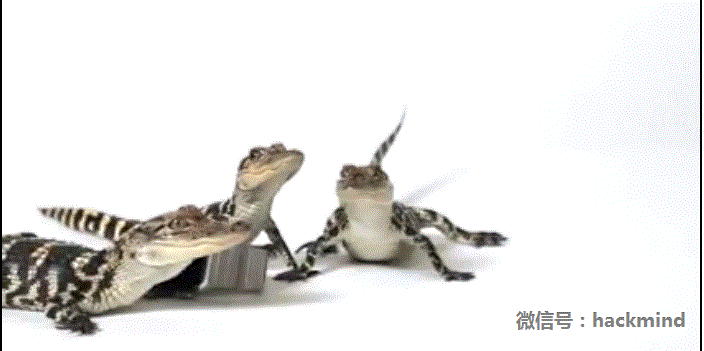 城里人真會玩，用鱷魚、穿山甲來評測Apple Watch 