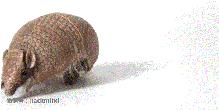 城里人真會玩，用鱷魚、穿山甲來評測Apple Watch 